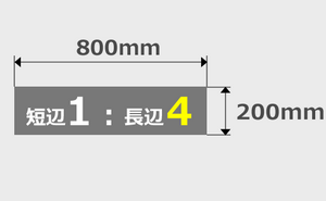 200mm×800mm印刷