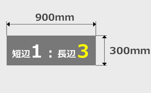 300mm×900mm印刷